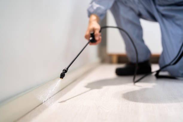 Licensed Termite Control service in Floris, VA - Nex Pest Control