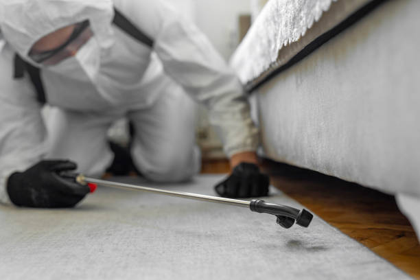 Professional Termite Control technician working in Floris, VA