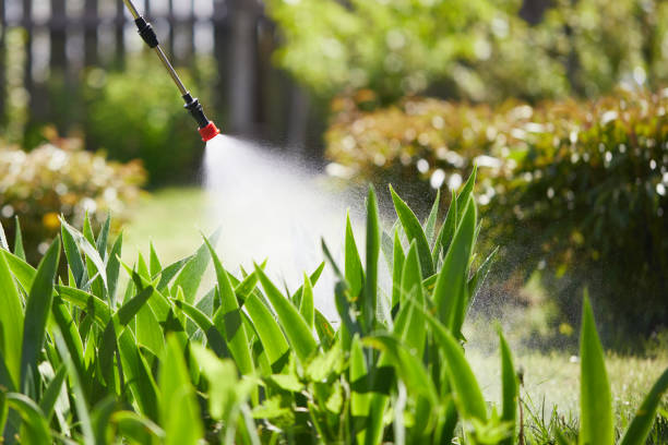 24/7 Emergency Termite Control experts in Floris, VA