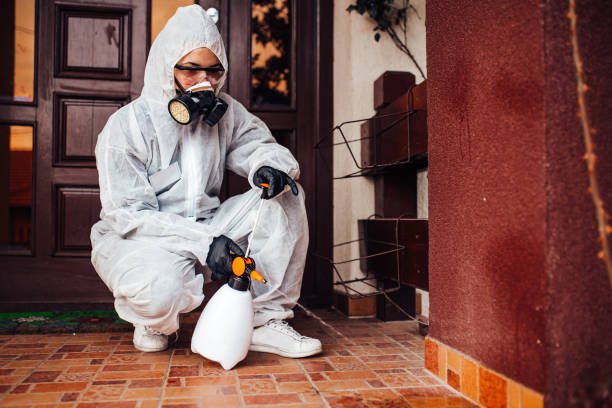 Reliable Termite Control contractor in Floris, VA by Nex Pest Control