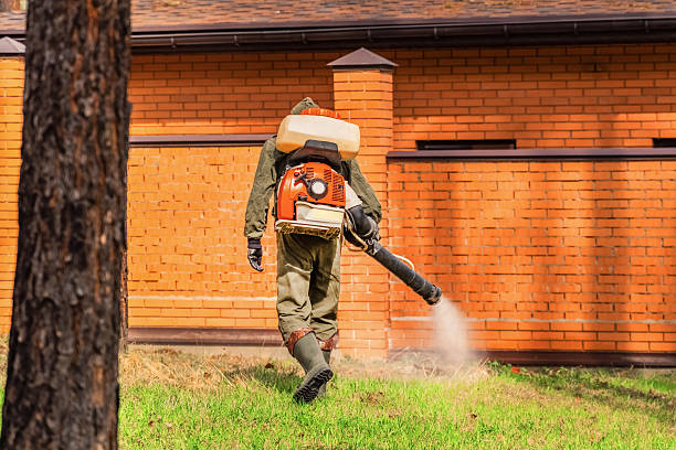 Top rated local Termite Control specialists in Floris, VA